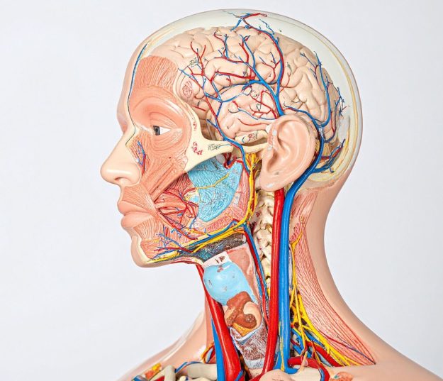 page A4 Eng.pdf – 1